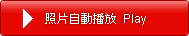 播放